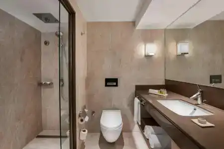 Renaissance Polat Istanbul - 7