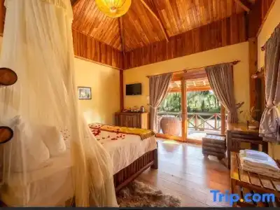 Milana Beach Resort & Spa - 116