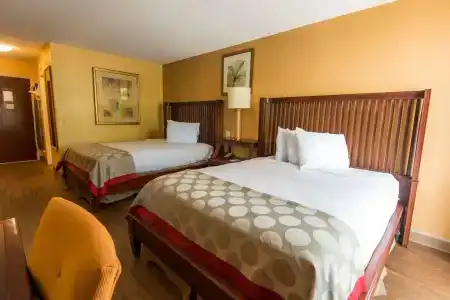 B&B Orlando International Drive Near Universal - Newly Renovated! - 6