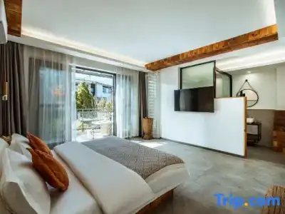 Hôtel Baldi by Magna Arbor - 99