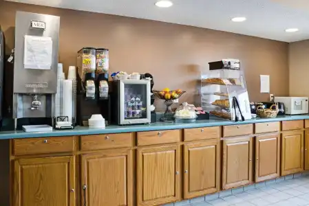 Bison Inn & Suites on University - 20
