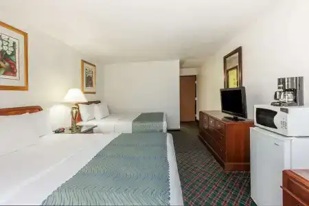 Super 8 by Wyndham Irving DFW Airport/South - 5