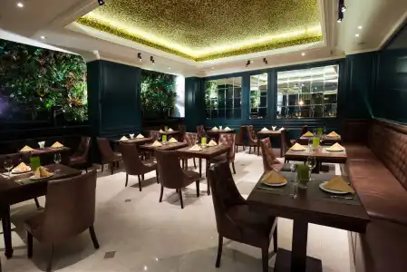 Silverland Jolie - 27