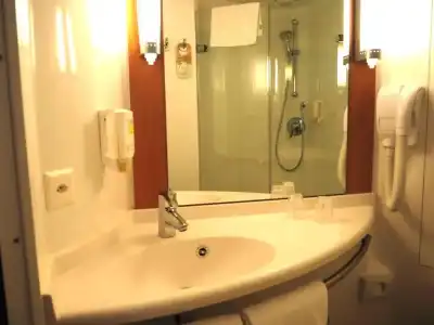 ibis Geneve Petit Lancy - 56