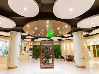 Linzhen (Shanghai Pudong Airport) - 1