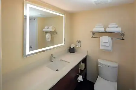 Holiday Inn VICTORIA – ELK LAKE by IHG - 121
