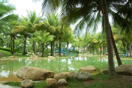 Seastar Properties Resort - 12