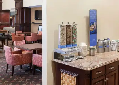 Hampton Inn & Suites Dallas-Arlington-South - 11