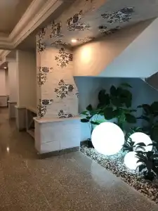 Negresco - 9