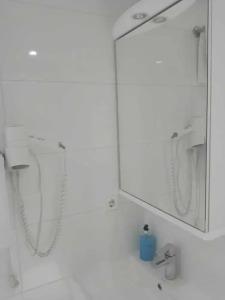 Waldblick BSR Restaurant - 202