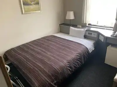 Route Inn Toyama Ekimae - 3
