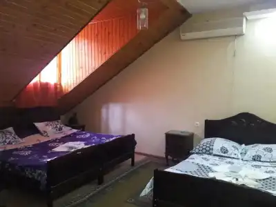 Daviti Tbilisi - 23