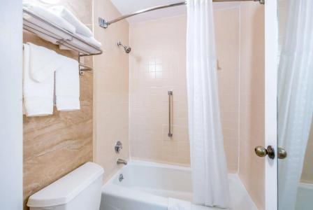 Quality Inn Fredericksburg-Central Park Area - 8