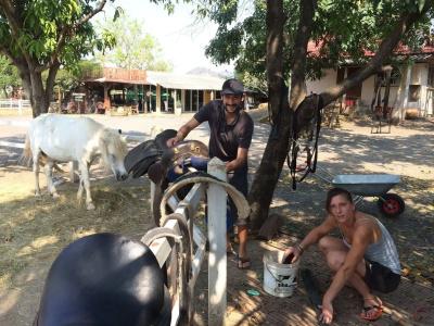 Wanlapa Farmstay - 18