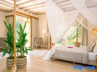 Zanzi Resort - 120