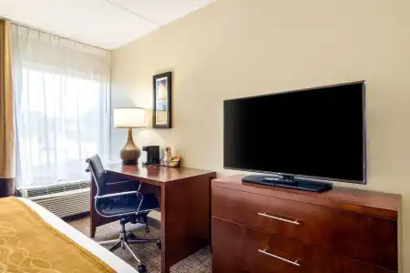 Spark by Hilton Atlanta Airport South College Park - 5