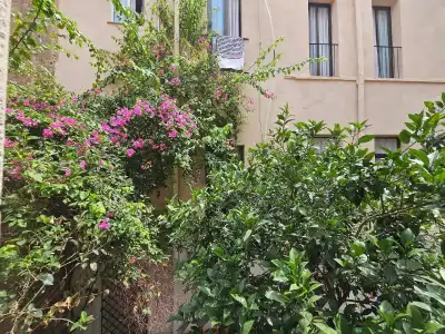 Palermo Barcelona - 17