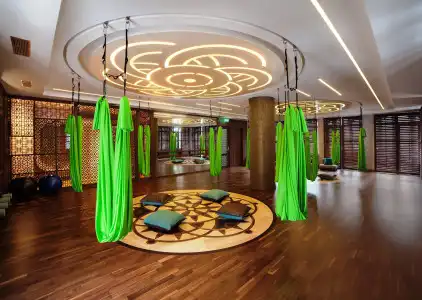 Crowne Plaza Borjomi - 27
