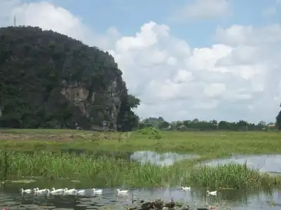 Anna Tham View - 16