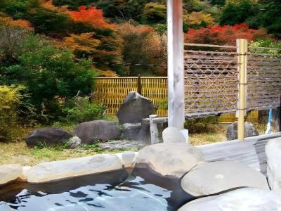 Yugawara Onsen Kamata - 13
