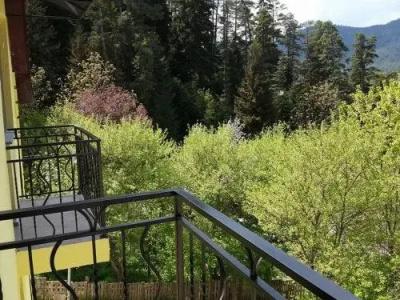 Guest House Borjomi Forest - 15