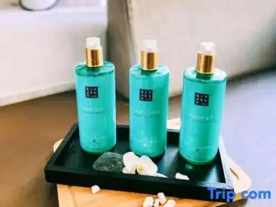 Novotel Spa Rennes Centre Gare - 80