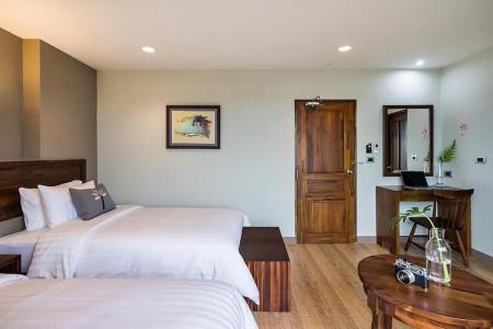 Olive Tree - 41