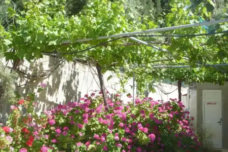 Eliofos Elegant Maisonettes - 29