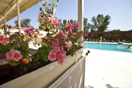 Sivila -Afandou Rodos - 12
