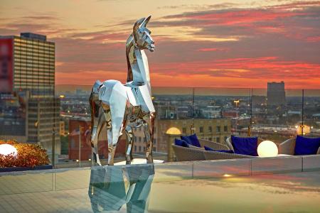 The Statler Dallas Curio Collection By Hilton - 29