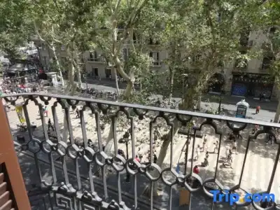 Lloret Ramblas - 102