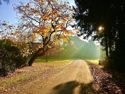 Radisson Blu, Bremen - 40