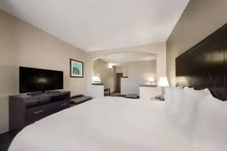 Comfort Suites Plano East - Richardson - 35