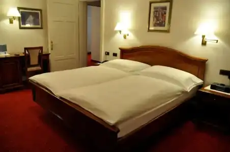 Soldanella - 36