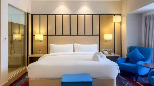 Radisson Kathmandu - 83