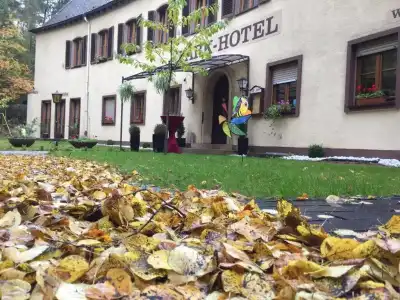 Parkhotel - 32