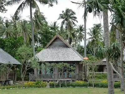 New Ozone Resort & Spa - 57