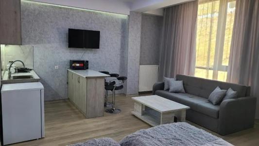 Gudauri Winter House - 10