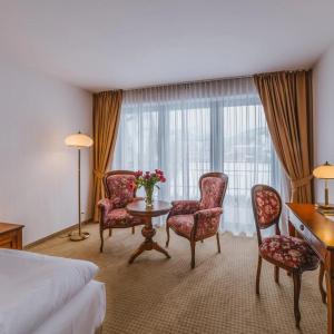 Paryski Art & Business Zakopane - Basen Jacuzzi Sauna Małpi Gaj - 28