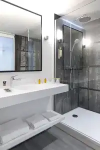 Mercure & Spa Aix-les-Bains Domaine Marlioz - 100