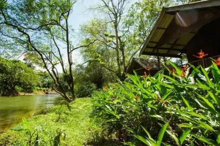 Khao Sok Riverside Cottage - 39