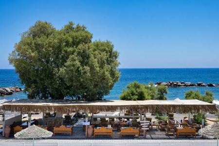 Nissia Beach Apartments and Suites - 16