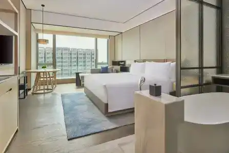 Doubletree By Hilton Shenzhen Airport Residences - 28