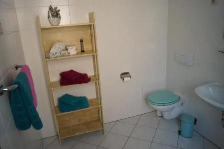 Pension Triebischtal - 17