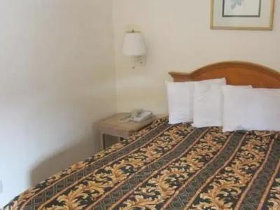 Anaheim Discovery Inn and Suites - 45