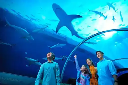 The Laurus, a Luxury Collection Resort, Singapore - 122
