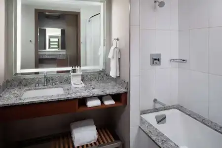 DoubleTree by Hilton Rochester Mayo Clinic Area - 71