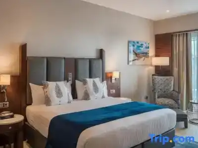Verde Zanzibar - Azam Luxury Resort and Spa - Dry - 97