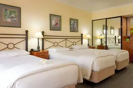 Palm Royale Cairns - 61