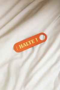 OLDEGAR Hôtel - 105